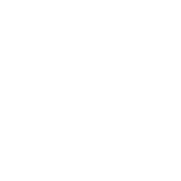 Mobile Application Testing